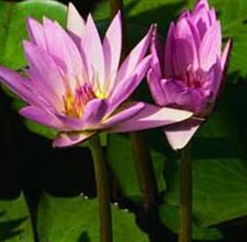 just_be_ok20&nbsp;just_be_ok20